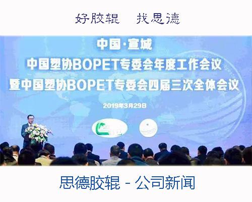 2019年度BOPET专委会会议在宣城召开(en)